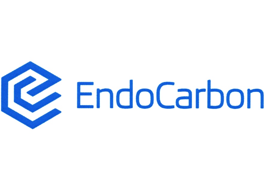Endocarbon Костная ткань